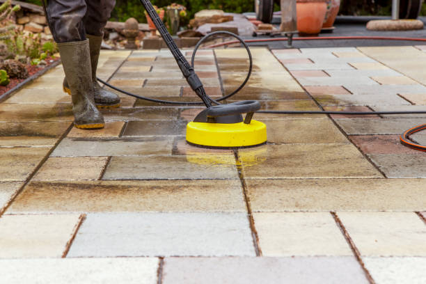 Animal Enclosure Cleaning in Fox Island, WA